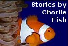 FICTION on the WEB short stories by Charlie Fish